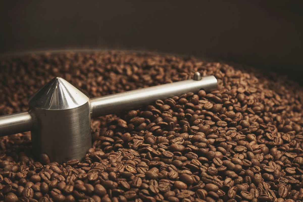 Dawn's Early Light Roast Coffee